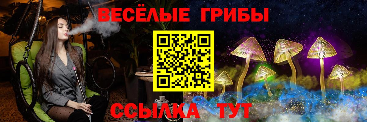 Галлюциногенные грибы Psilocybe Кунгур