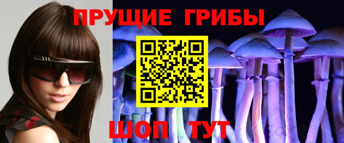 Кунгур  хочу наркоту  Вход с VPN  Галлюциногенные грибы мицелий  Псилоцибиновые грибы ЛСД 