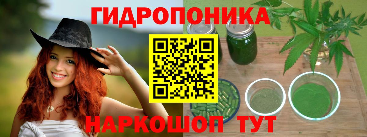 Кунгур  Бошки Шишки тримм  Канабис планчик  Вход с VPN  Конопля Amnesia 